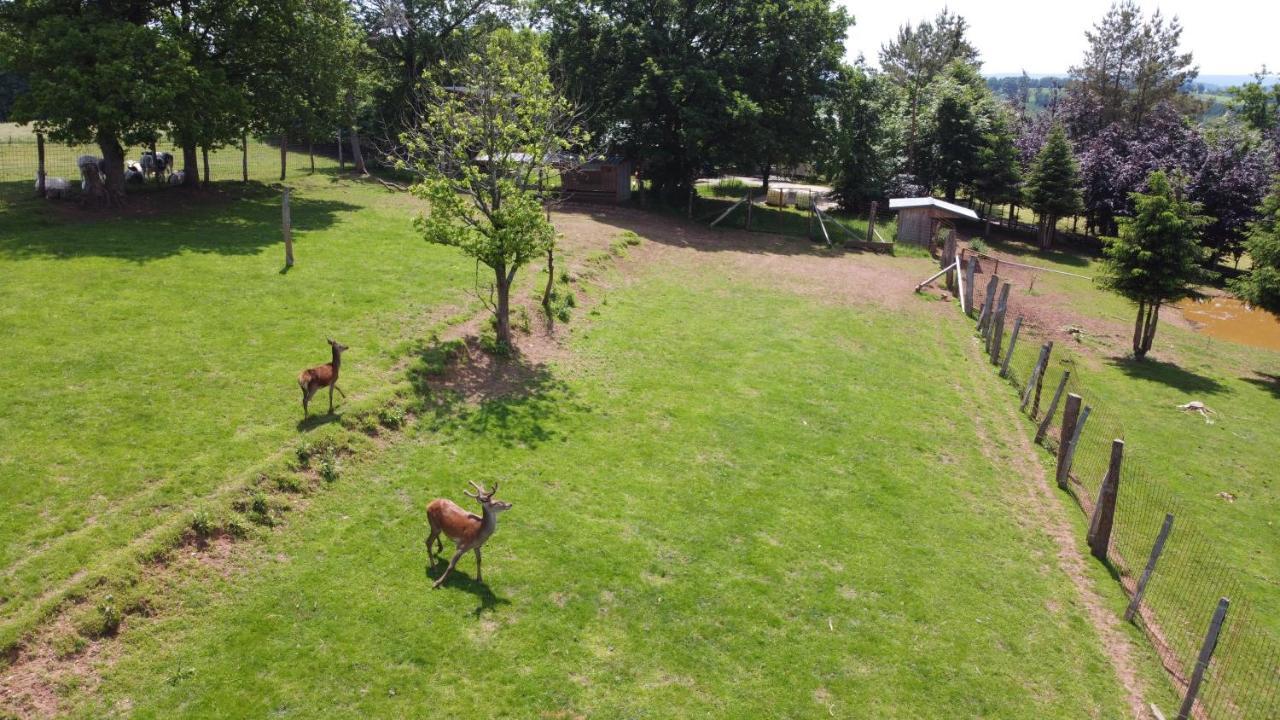 Вілла Le Gagnage 31 Pers- Malmedy, Rustique, Vue, Wellness Екстер'єр фото