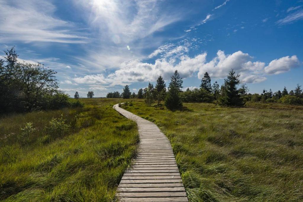 Вілла Le Gagnage 31 Pers- Malmedy, Rustique, Vue, Wellness Екстер'єр фото